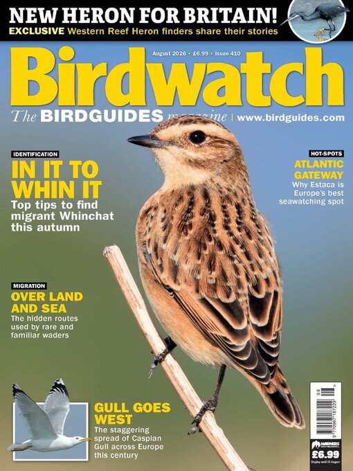 Cover image for Birdwatch